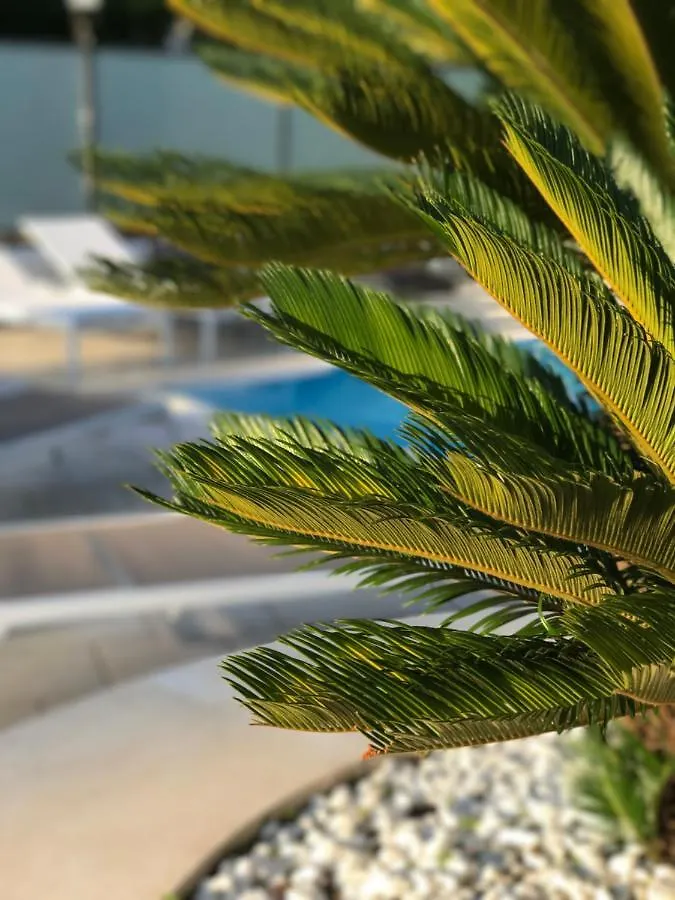 Aparthotel Path House - Etna & Sea View Riposto