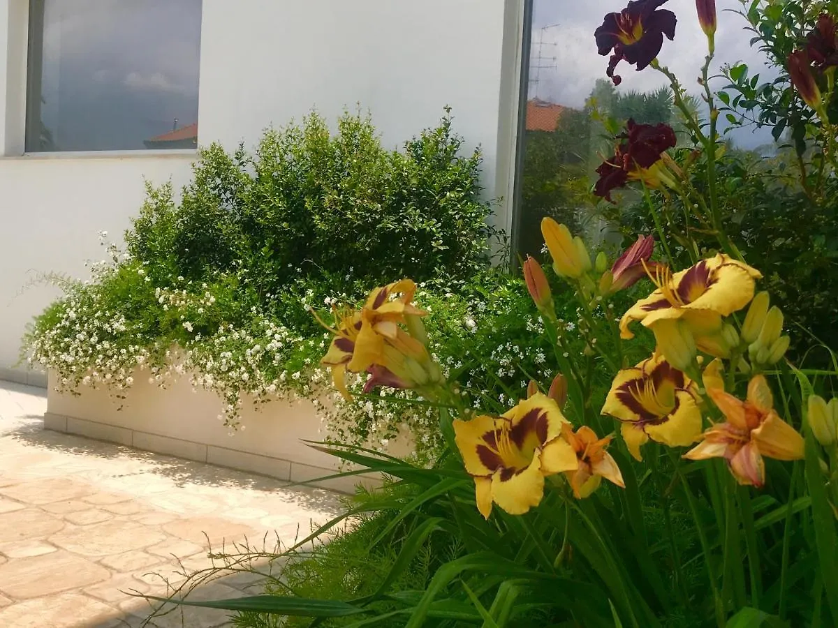 Aparthotel Path House - Etna & Sea View Riposto